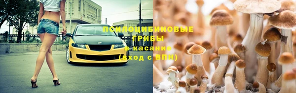 крисы Мегион