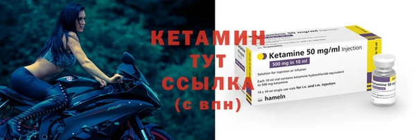 крисы Мегион