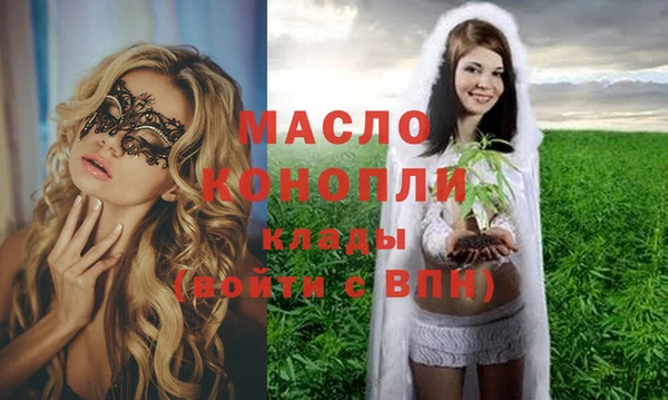 молекула духа Медногорск