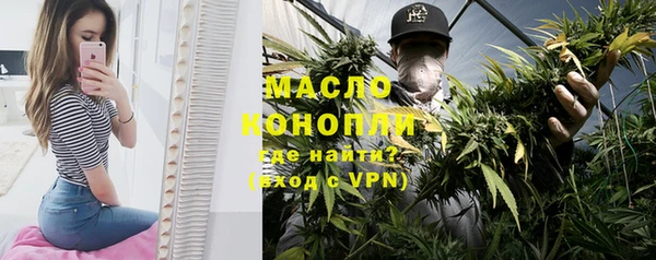 молекула духа Медногорск