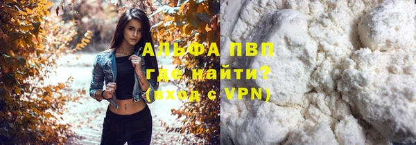 крисы Мегион