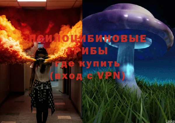 соль ск Медвежьегорск