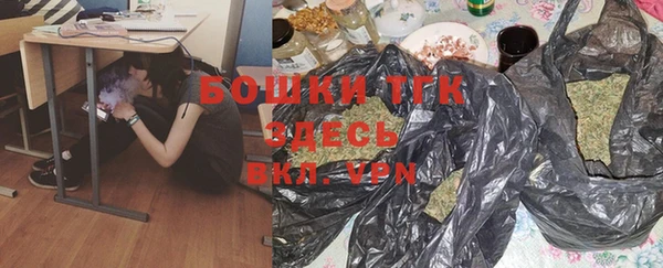 крисы Мегион