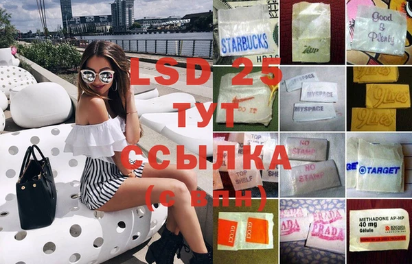 крисы Мегион