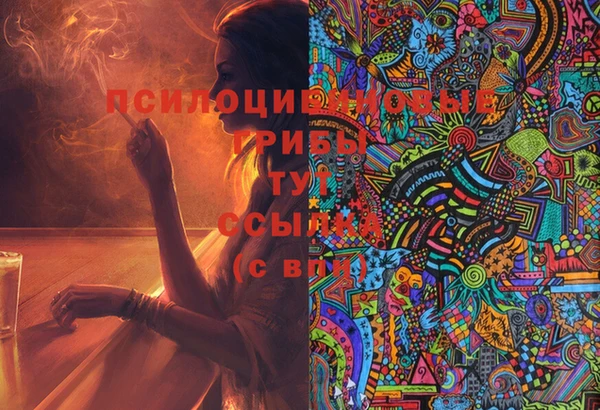 крисы Мегион