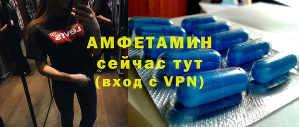 крисы Мегион