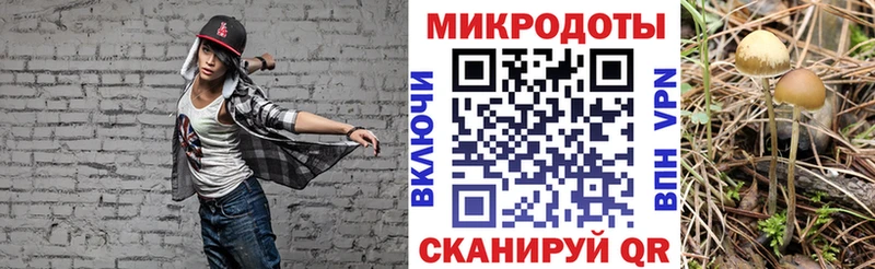 Псилоцибиновые грибы MAGIC MUSHROOMS Торопец